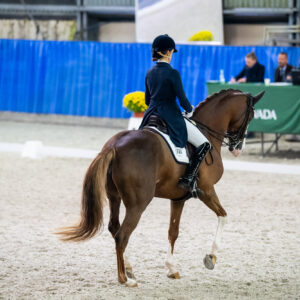 CDI Wroclaw 2023 - autumn