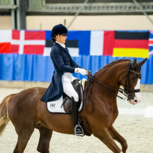 CDI Wroclaw 2023 - autumn