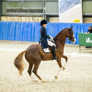 CDI Wroclaw 2023 - autumn