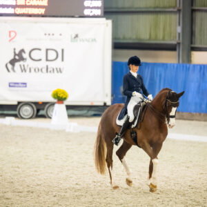 CDI Wroclaw 2023 - autumn