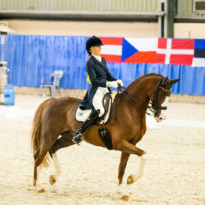 CDI Wroclaw 2023 - autumn