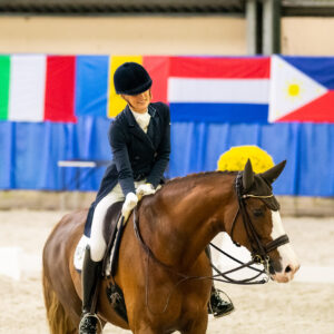 CDI Wroclaw 2023 - autumn