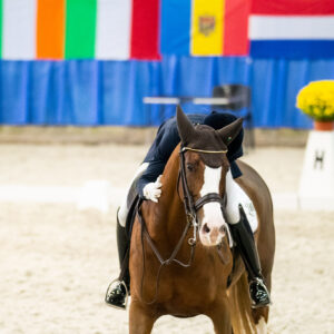 CDI Wroclaw 2023 - autumn