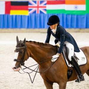 CDI Wroclaw 2023 - autumn