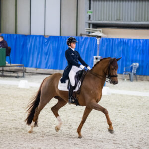 CDI Wroclaw 2023 - autumn