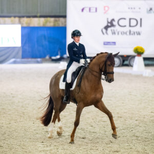 CDI Wroclaw 2023 - autumn