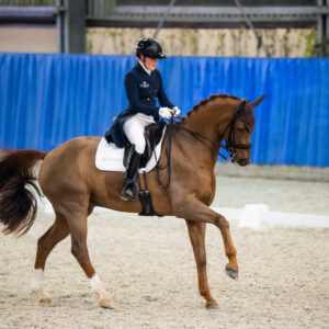 CDI Wroclaw 2023 - autumn