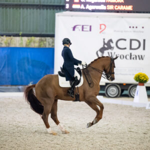 CDI Wroclaw 2023 - autumn