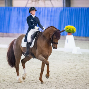 CDI Wroclaw 2023 - autumn