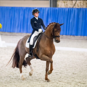 CDI Wroclaw 2023 - autumn