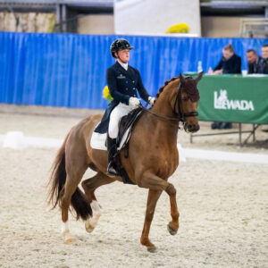 CDI Wroclaw 2023 - autumn
