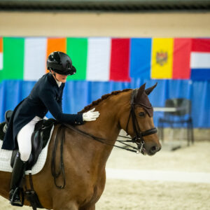 CDI Wroclaw 2023 - autumn