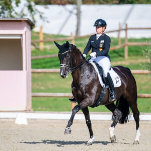 CDI Troisdorf 2023 - autumn