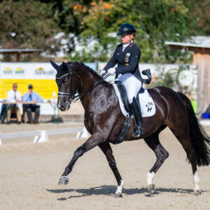 CDI Troisdorf 2023 - autumn