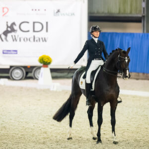 CDI Wroclaw 2023 - autumn