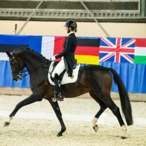 CDI Wroclaw 2023 - autumn