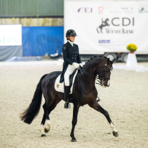 CDI Wroclaw 2023 - autumn