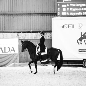 CDI Wroclaw 2023 - autumn