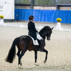 CDI Wroclaw 2023 - autumn