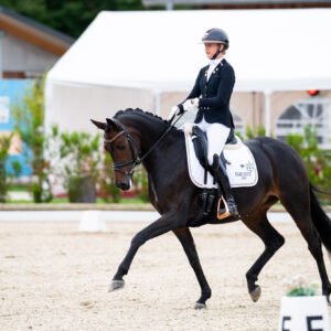 CDI Troisdorf 2023 - autumn