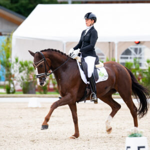 CDI Troisdorf 2023 - autumn