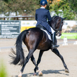 CDI Troisdorf 2023 - autumn