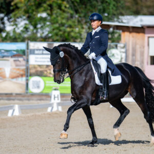 CDI Troisdorf 2023 - autumn