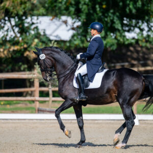 CDI Troisdorf 2023 - autumn