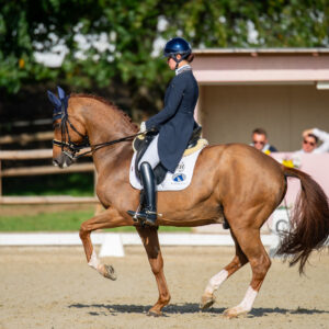 CDI Troisdorf 2023 - autumn