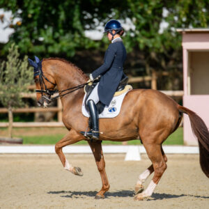 CDI Troisdorf 2023 - autumn