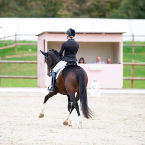 CDI Troisdorf 2023 - autumn