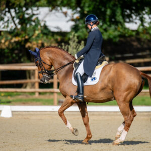 CDI Troisdorf 2023 - autumn