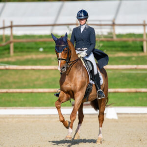 CDI Troisdorf 2023 - autumn