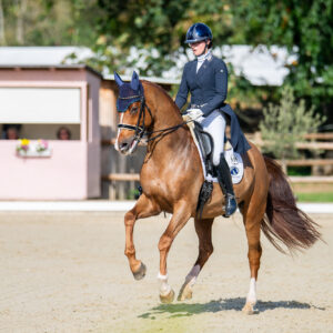 CDI Troisdorf 2023 - autumn