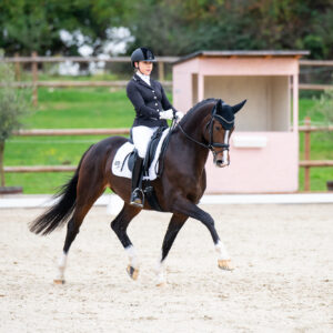 CDI Troisdorf 2023 - autumn