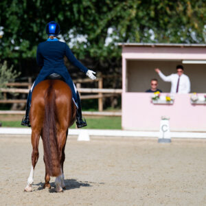 CDI Troisdorf 2023 - autumn