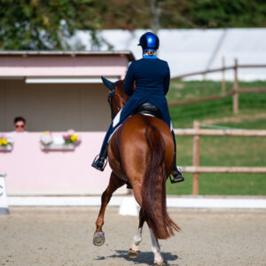 CDI Troisdorf 2023 - autumn