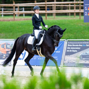 CDI Troisdorf 2023 - autumn