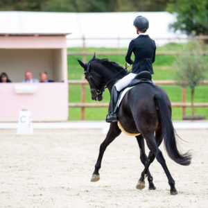CDI Troisdorf 2023 - autumn