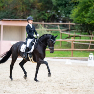 CDI Troisdorf 2023 - autumn