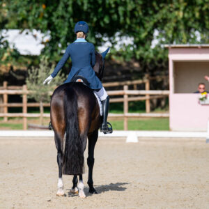 CDI Troisdorf 2023 - autumn