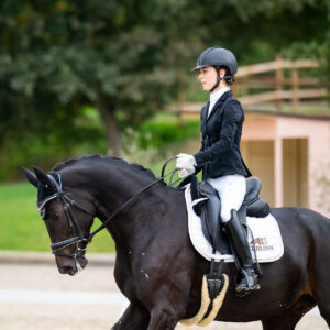 CDI Troisdorf 2023 - autumn