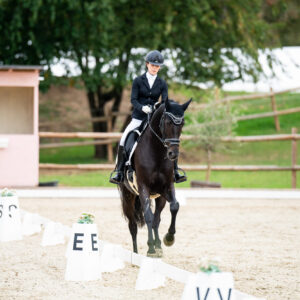 CDI Troisdorf 2023 - autumn