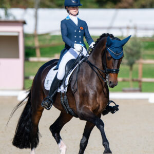 CDI Troisdorf 2023 - autumn