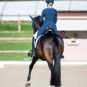 CDI Troisdorf 2023 - autumn