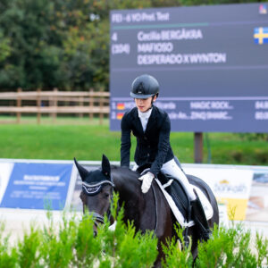 CDI Troisdorf 2023 - autumn