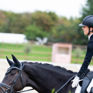 CDI Troisdorf 2023 - autumn