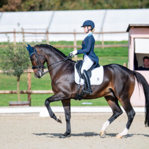 CDI Troisdorf 2023 - autumn