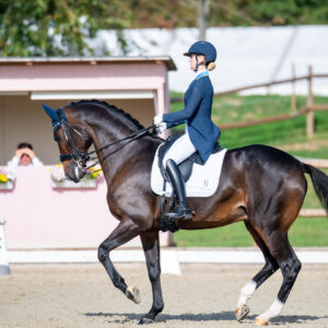 CDI Troisdorf 2023 - autumn