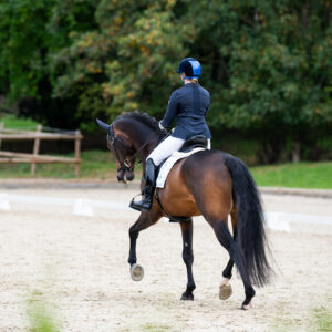 CDI Troisdorf 2023 - autumn